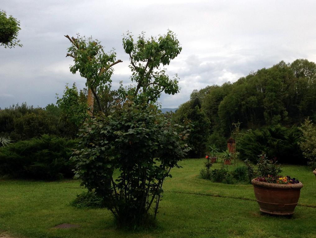 Lovely Tuscan